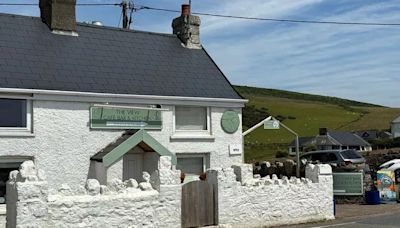 This restaurant has got one of Wales' best views hidden away out the back