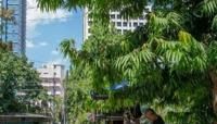 A vendor stands under a tree during hot weather in Manila. The Philippines has suspended in-person classes in all public schools for two days because of the extreme heat