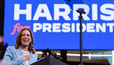 DNC virtual roll call kicks off, teeing up Kamala Harris' nomination | This is how it will work