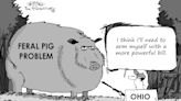 Editorial cartoonist Jerry King looks at Ohio's feral pig problem