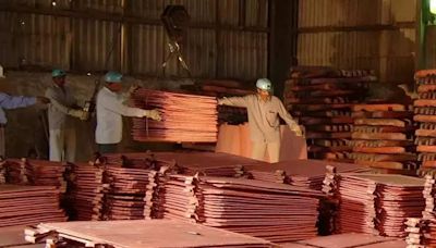 Hindustan Copper Q1 net profit rises two-fold to ₹113.40 crore | Business Insider India