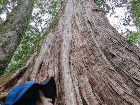 觀霧解說員一日山林生活 開箱