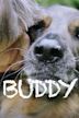 Buddy