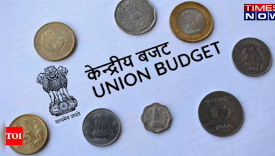 Budget 2024: Top execs of Noise, Boult, Ambrane and IG Drones thank and applaud FM - Times of India
