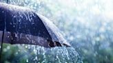 Alerta amarilla por lluvias para hoy en tres provincias: qué zonas están afectadas