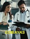 Cobayas: Human Test