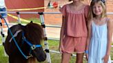 Aiken County Public Library and LEARN Aiken partner to promote literacy with miniature rescue horses