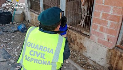 La Guardia Civil investiga a un hombre por abandonar a cuatro perros deshidratados y con garrapatas