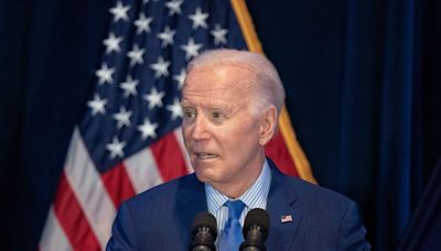 An influential Democratic donor says Biden has 'misplaced trust' in a 'cabal' of 3 top aides