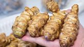 I grew these edible tubers for chefs – here is my tip for when to harvest Jerusalem artichokes