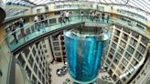 A Massive Hotel Aquarium Burst, Injuring 2 People And Killing The 1,500 Tropical Fish Inside