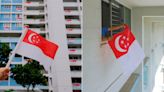 Singapore eases rules on national symbol usage, provides guidelines on respectful use