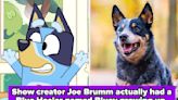 I Genuinely Can't Watch "Bluey" The Same Way After Learning These 15 Facts About The Heelers