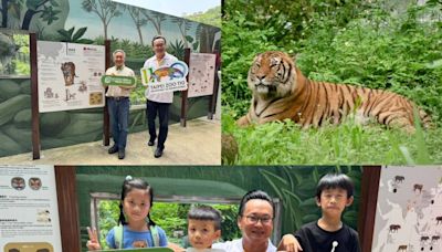 台灣虎航持續支持動物保育 台北市立動物園馬來虎保育立牌