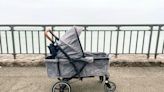 9 Wagon Strollers For Kids That Are Perfect for an Adventurous Day