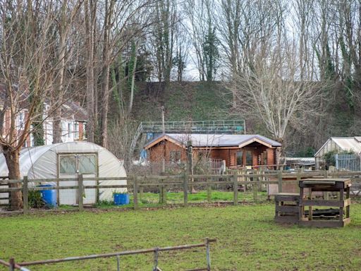 The city farms in Bristol and what they do for local communities