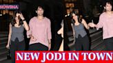 Mrunal Thakur & Siddhant Chaturvedi Walk Hand In Hand As They Get Papped Post Dinner; WATCH - News18