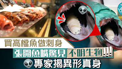【食用安全】買高檔魚做刺身魚嘴驚見不明生物 專家揭開「異形」真身 - 香港經濟日報 - TOPick - 健康 - 食用安全