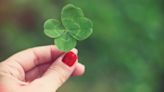 Share These Fun and Spirited St. Patrick's Day Quotes With Friends and Family