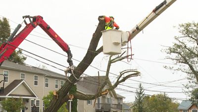 Maritime Electric unveils wide-ranging plan to protect P.E.I.'s power grid as the climate changes