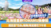 北海道旅遊｜星野TOMAMU 4.26起換春裝！超巨型「花朵」裝飾/限定櫻花下午茶/必食櫻花形丸子