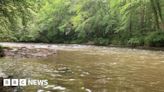 River Dart pollution 'do not swim' warnings removed