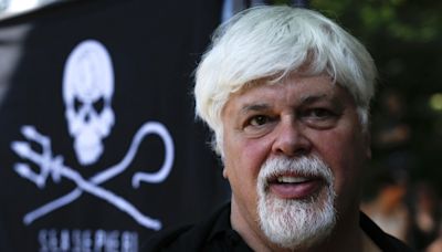 Anti-whaling campaigner Paul Watson arrested in Greenland, faces possible extradition to Japan