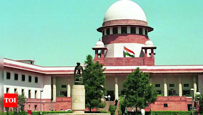 8:1 majority: SC upholds power of states to levy tax on mineral bearing lands | India News - Times of India