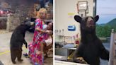 Watch: Black Bears Are Swiping at People and Stealing Food in This Tourist Town