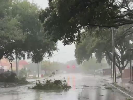 Árboles caídos y algunas acumulaciones de agua en el Uptown de Houston