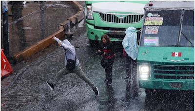 Fuertes lluvias dejan árboles caídos y encharcamientos en la CDMX | El Universal