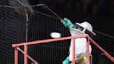 Swarm of bees delays Arizona Diamondbacks vs. Los Angeles game in Arizona. A ‘MVP’ beekeeper came to the rescue | CNN