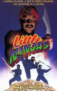 Little Ninjas