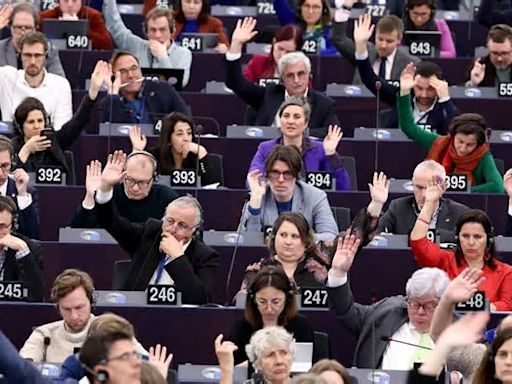 Europäisches Parlament:Strapazen und Sternstunden