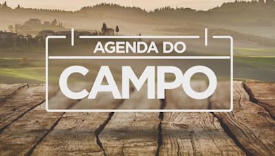 Agenda do Campo da semana tem caminhadas na natureza no noroeste do Paraná