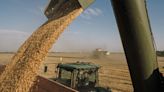 Ukraine Files Complaint With WTO on EU Neighbors’ Grain Ban