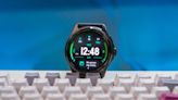 Mobvoi TicWatch Pro 5 Enduro review: This smartwatch just doesn't make sense
