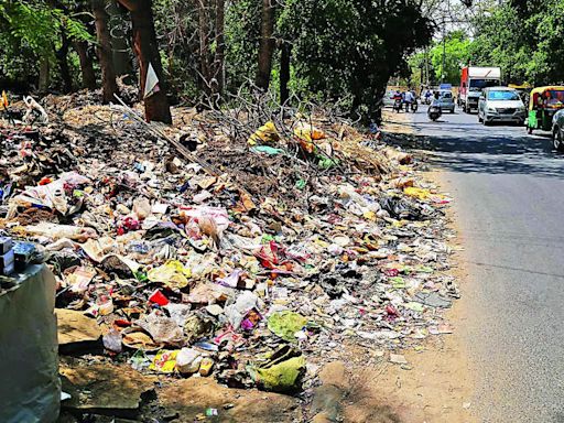 Unhappy with waste pickup? Do it yourself, DC tells corpn | Gurgaon News - Times of India