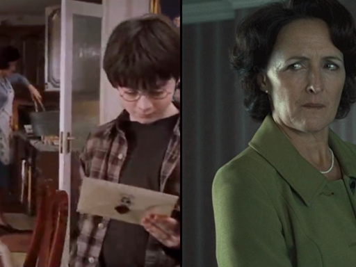 Harry Potter fans are just realising what Aunt Petunia is doing in kitchen scene