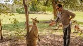 An American tourist found himself fighting off a 'frisky' kangaroo while on holiday in Australia, and people online are loving it