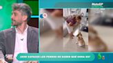 El veterinario Víctor Algra desvela si los perros son capaces de saber qué hora es