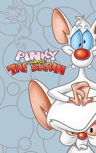 Pinky & the Brain