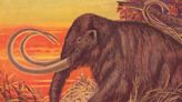 Los mamuts lanudos están por regresar, ¿deberíamos comerlos?