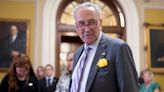 Schumer Forces Republicans to Take Sides on IVF, Contraception