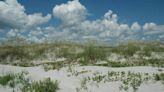 Changes proposed for Cumberland Island. See what the National Parks Service has in mind