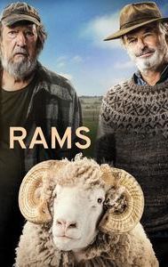 Rams (2020 film)