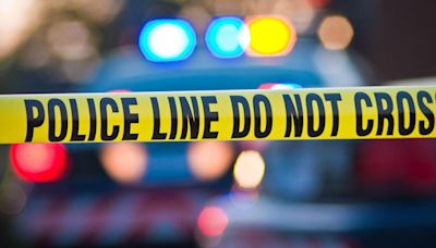 Deputies find pipe bomb, cane gun while responding to Aiken County burglary