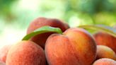 The Only Way You Should Store Peaches, According to Georgia Peach Farmers