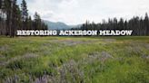 Largest Wetland Restoration Project in Yosemite National Park’s History - Restoring Ackerson Meadow (With Video)