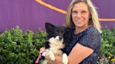 Small but mighty Nimble becomes first mixed-breed dog to win Westminster agility title